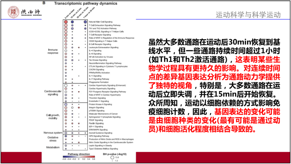 2023新澳门资料大全,广泛的解释落实方法分析_3DM0.369