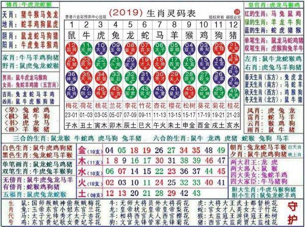 澳门正版资料大全资料生肖卡,专业解答实行问题_经典版5.387