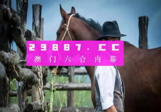 4949澳门免费精准大全,全面解答解释落实_探索版0.409