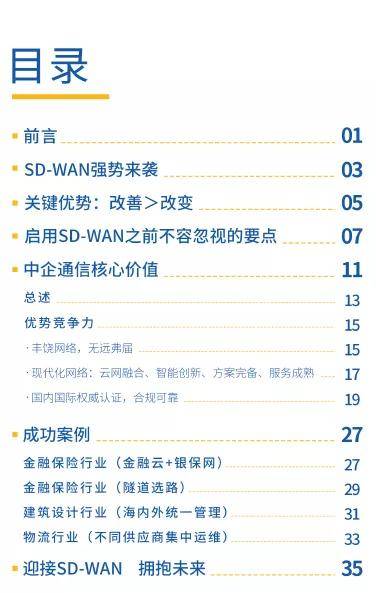 澳门一码一码100准确，最新答案解释落实_WP85.91.54