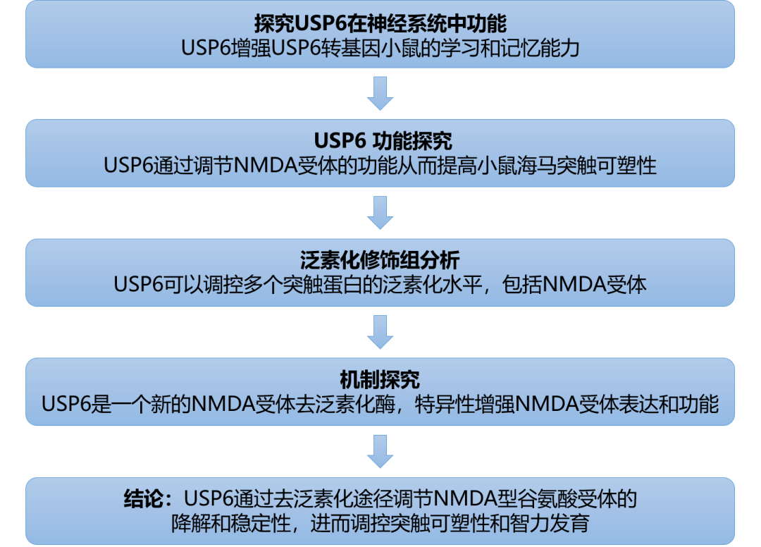 2024年10月30日 第66页