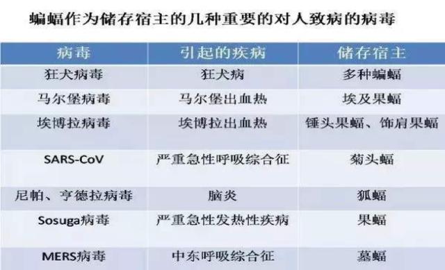 香港2024年资料公开表,权威诠释推进方式_豪华版3.287