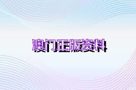 澳门精准免费资料,效率资料解释落实_创意版2.362