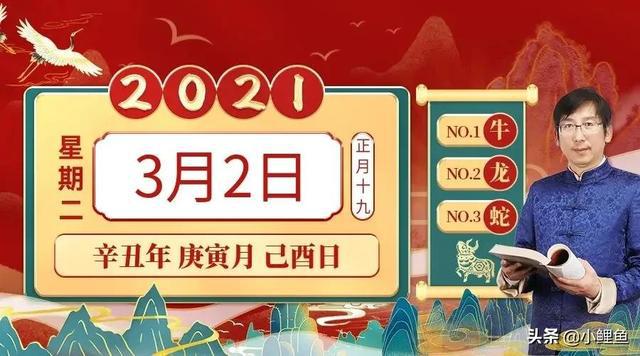 2024特马今晚开奖,科学化方案实施探讨_静态版42.108