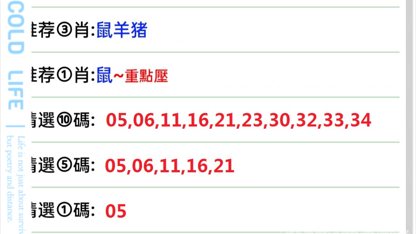 2024澳门六开彩天天开奖结果生肖卡,重要性解释落实方法_WP版49.907