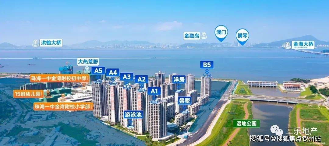 王中王王中王免费资料大全一,实践分析解析说明_投资版75.543