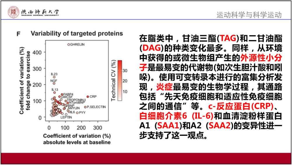 澳门资料大全正版资料,效率资料解释落实_游戏版256.183