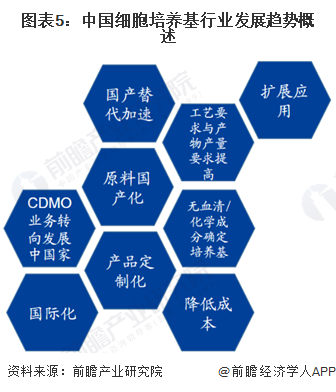 新澳门资料大全正版资料2024年免费下载,经济性执行方案剖析_娱乐版305.210