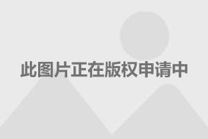 2024年澳门马会传真绝密信,专业说明解析_限量版43.484