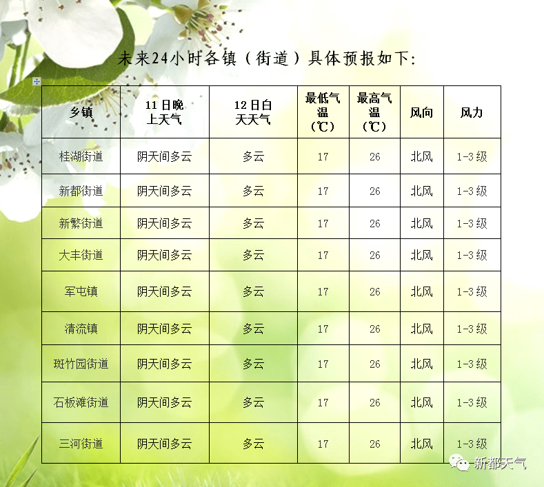 桃北街道天气预报最新详解