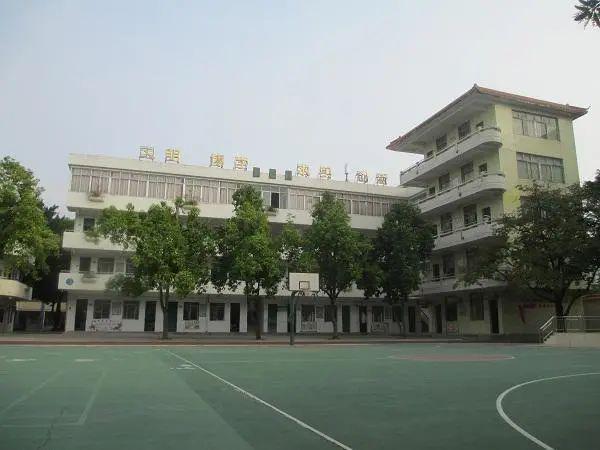 四会市小学新任领导引领未来教育新篇章