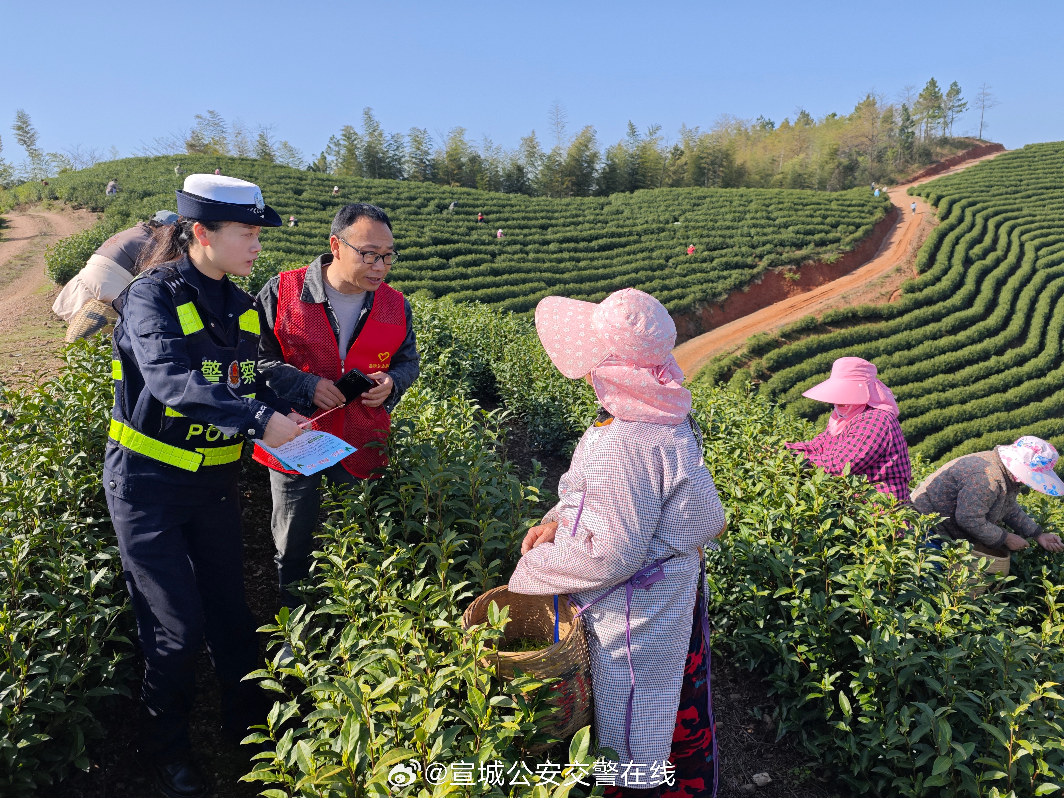 松林茶场交通新闻更新