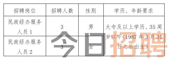 铜仁市统计局最新招聘启事概览