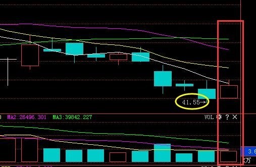 中飞股份最新动态全面解析