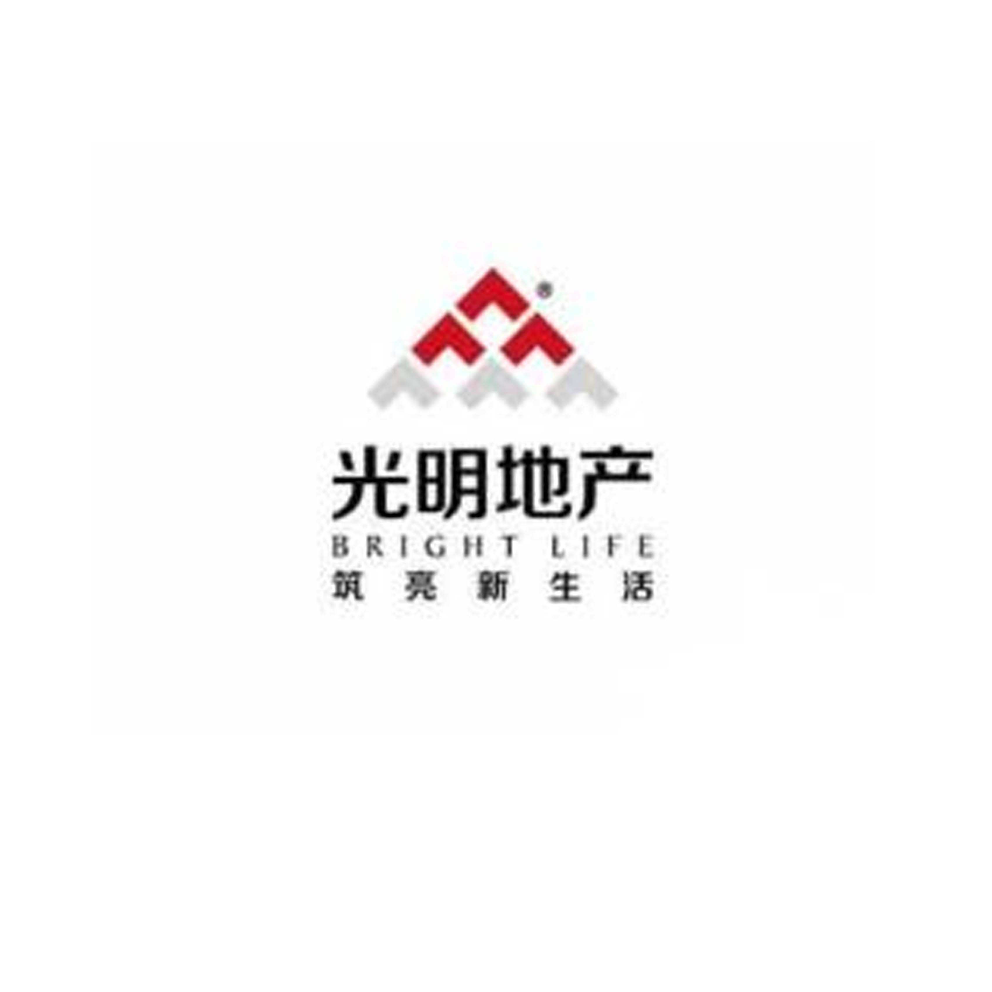 上海光明地产最新动态全面解析