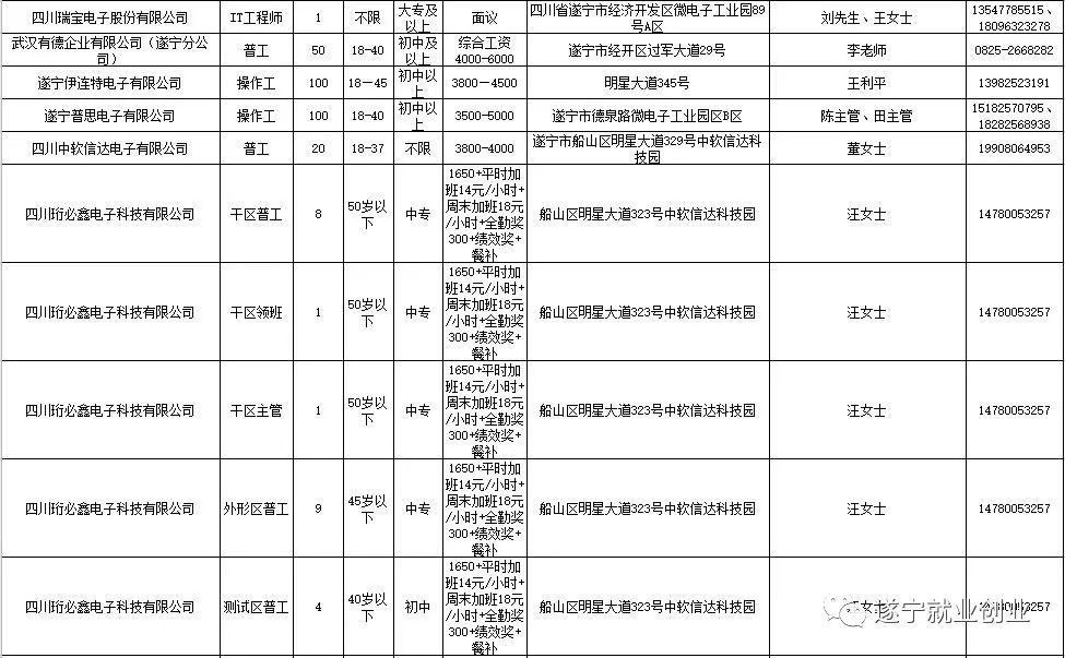 遂宁最新招聘信息网