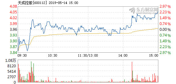 天成控股最新增发进展，迈向未来的坚定步伐