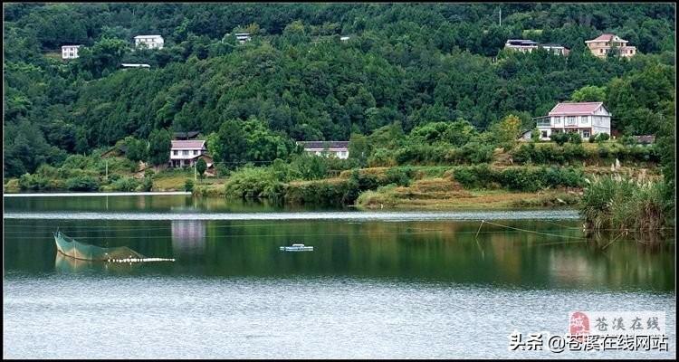 苍溪乐园水库建设进展及未来展望最新消息揭秘