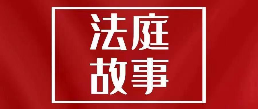 嘉善民生改善与社会发展的最新视频展现生动画面