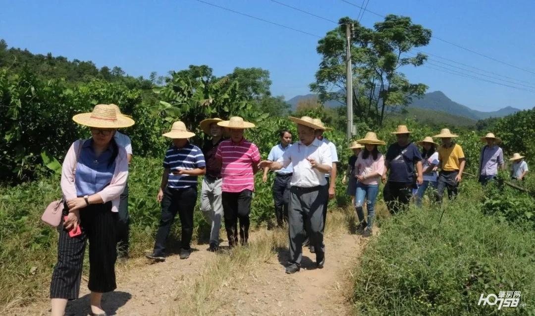 怀集县市场监督管理局最新发展规划概览