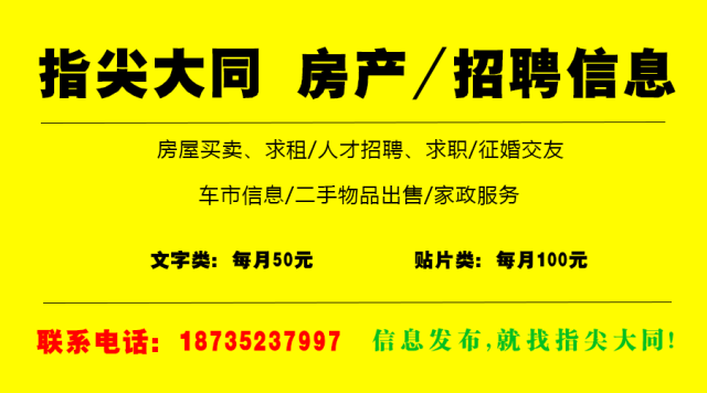 程委镇最新招聘信息详解及解读指南