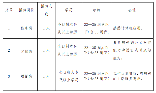 景洪市数据和政务服务局招聘公告解析