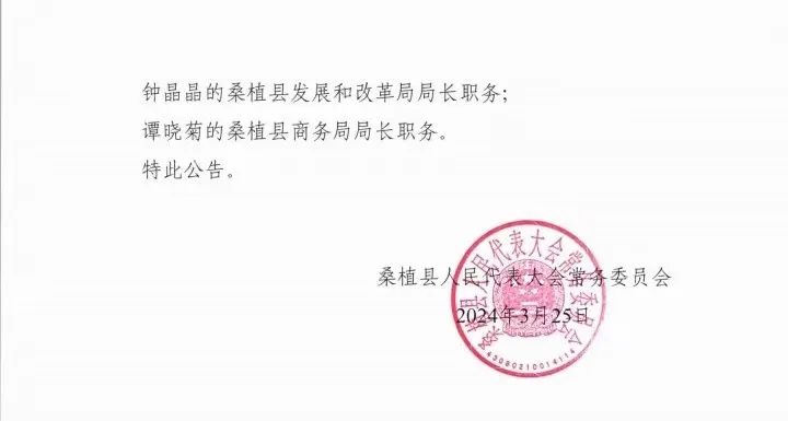 桑植县初中人事任命揭晓，引领教育新篇章启航