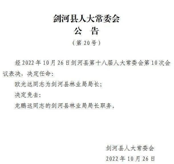 王河乡最新人事任命，推动地方发展新篇章