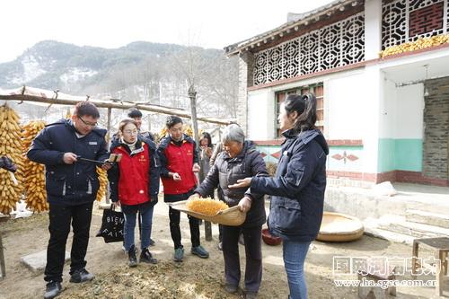 哈加村最新动态，发展与变迁报道