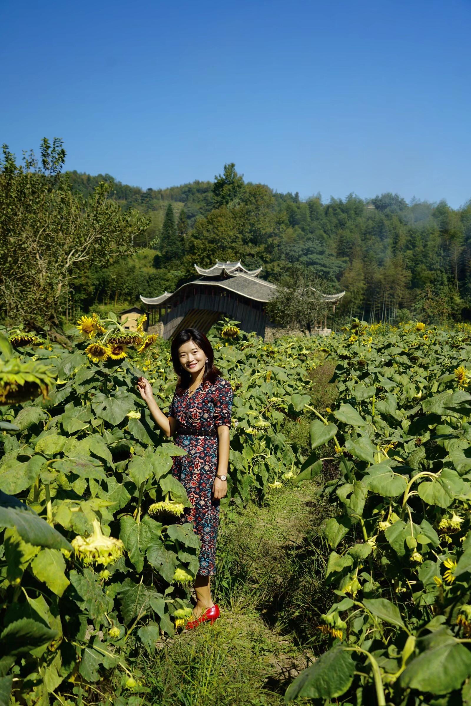 泰顺县初中领导团队，引领未来教育的新力量