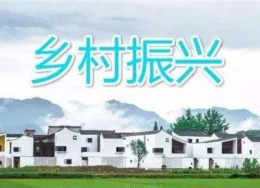 伽师县农业农村局最新新闻动态更新