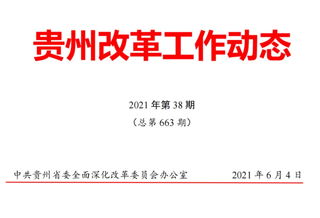 望谟县数据和政务服务局最新新闻动态解析