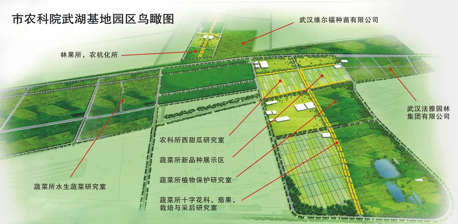 前进区农业农村局最新发展规划