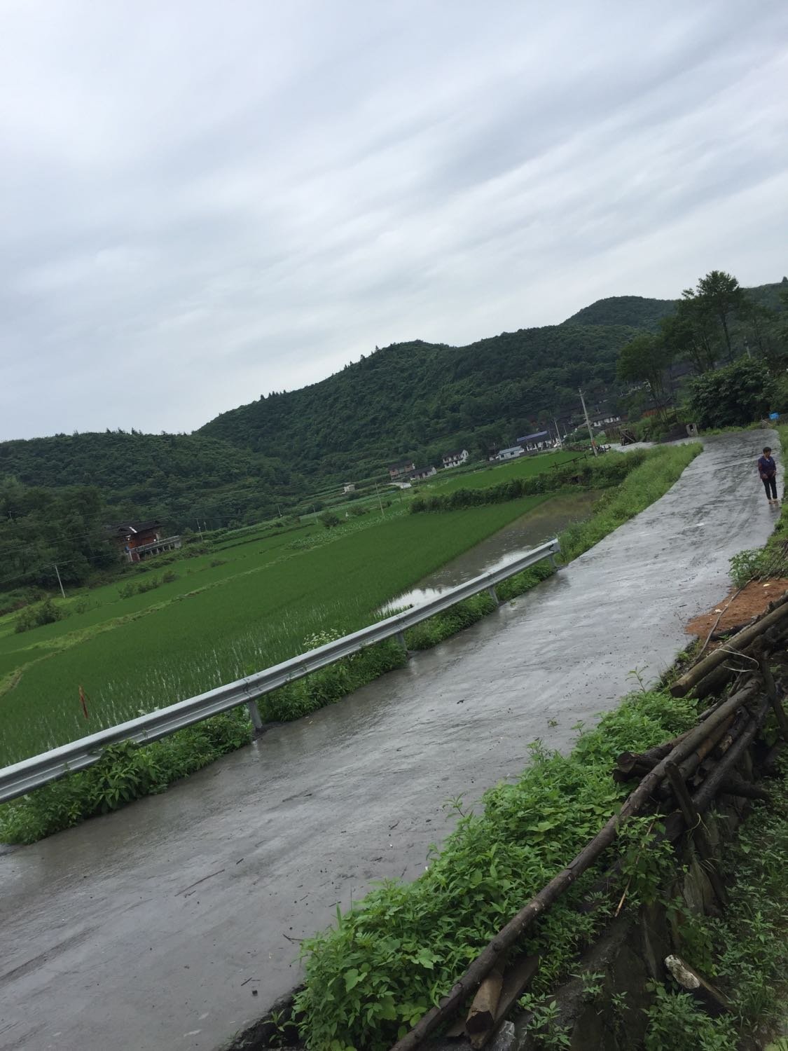 老庄河村委会最新天气预报