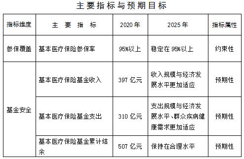 博湖县医疗保障局未来发展规划展望