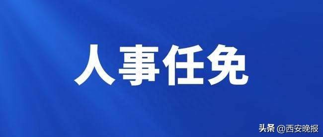 控角最新人事任命动态及其影响分析