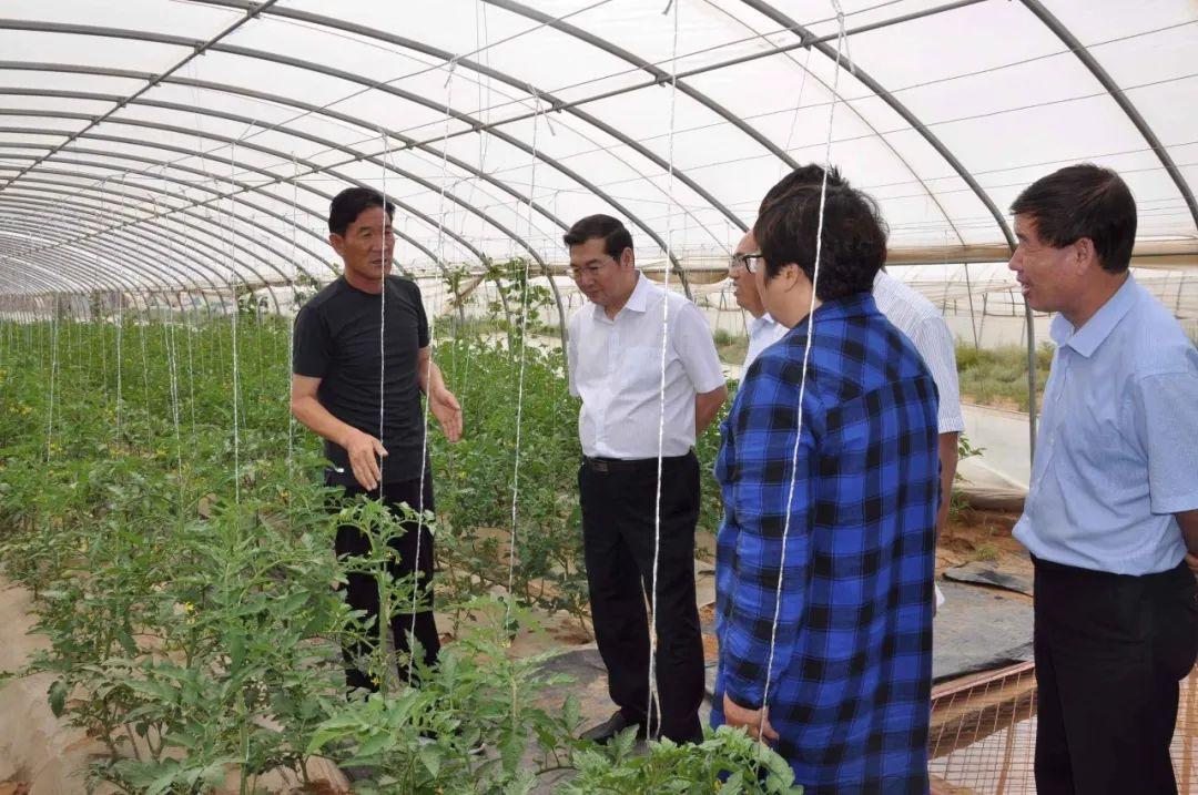 天祝藏族自治县文化广电体育和旅游局最新招聘资讯概览