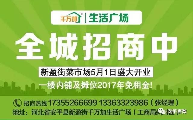 沛县人力资源和社会保障局最新招聘信息详解