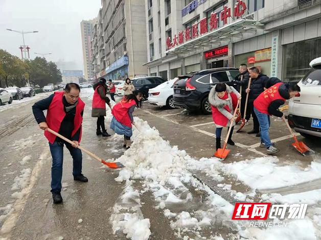 大新县自然资源和规划局最新动态报道