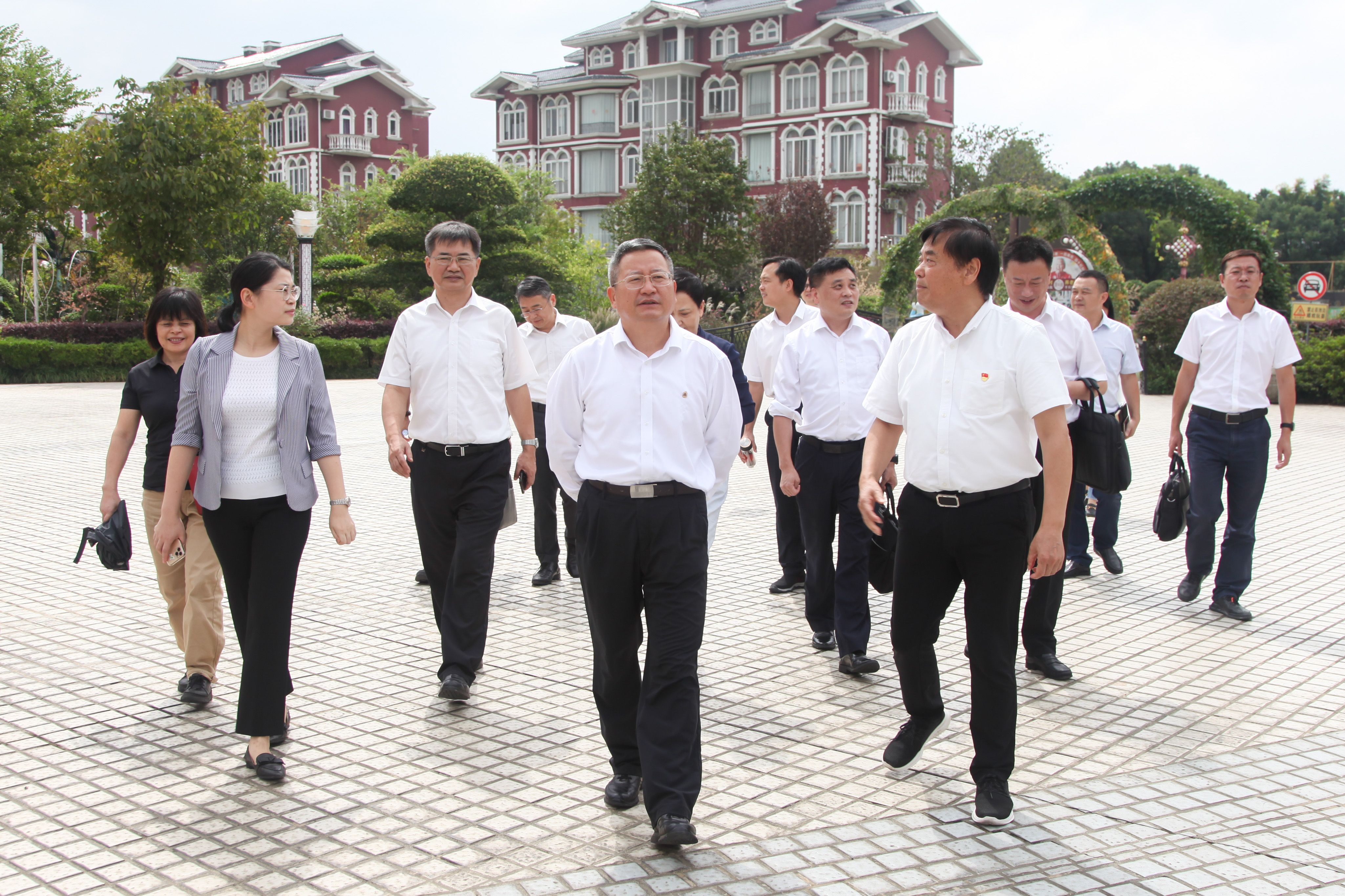 淀山湖镇领导团队引领地方发展新篇章