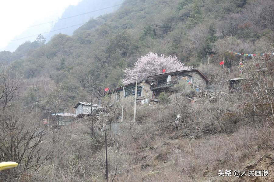 勒村乡领导新团队，引领乡村发展的核心力量