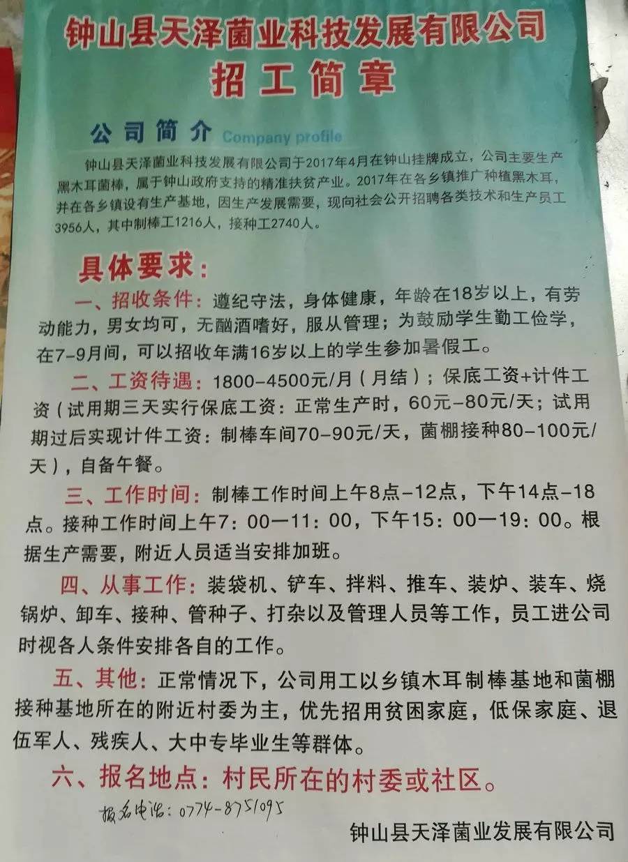 天池村最新招聘信息汇总