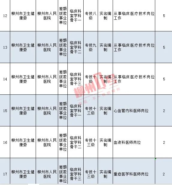 柳州市科学技术局最新招聘概览