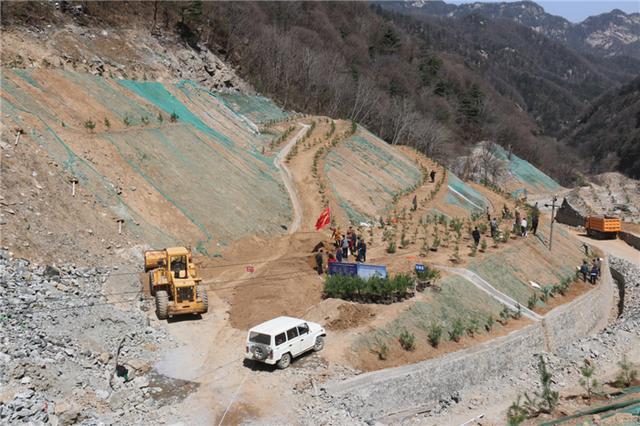 移山林场绿色生态项目，先锋力量推动生态建设新篇章