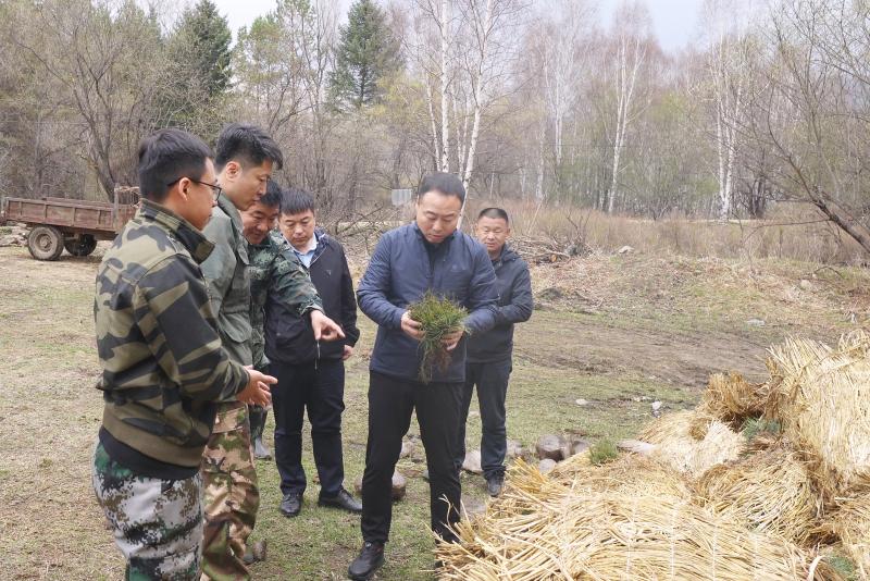 丰丽林场领导团队引领未来，铸就辉煌新篇章