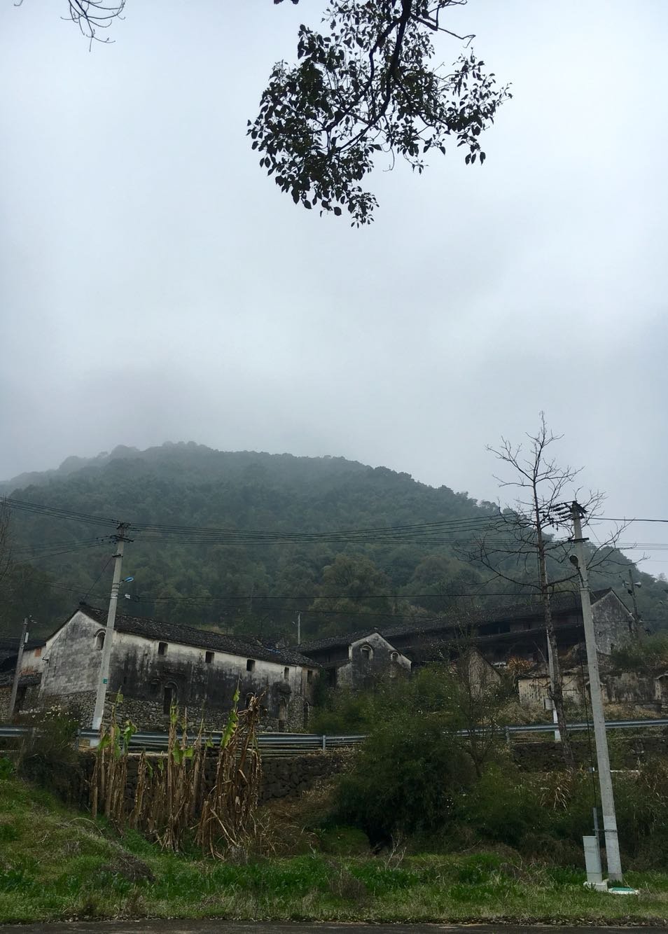 山江镇天气预报更新通知