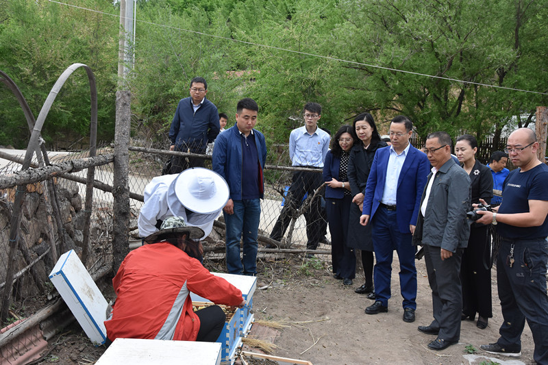 绒通村乡村振兴与社区发展新篇章报道速递