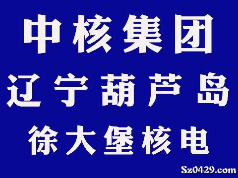 中二村委会最新招聘信息全面解析